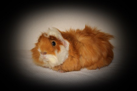 Busan född 2013-02-28