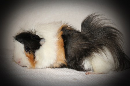 Hubert född 2013-03-21